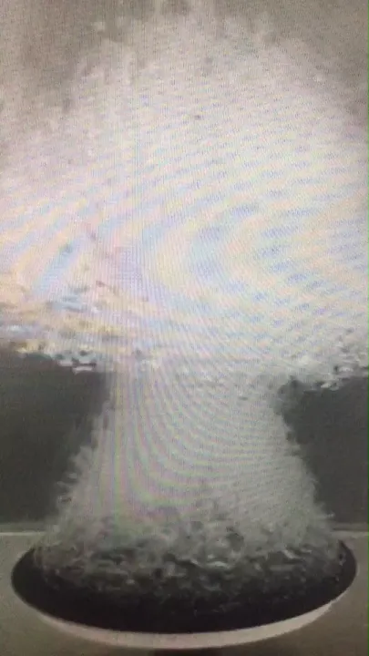 ???????????? ???????????