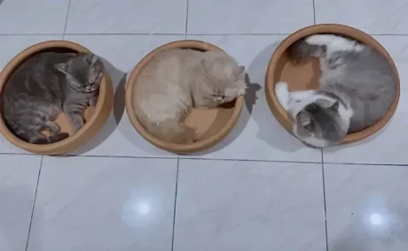 ???????????????? 12???? ???14???? 😻????14???????????????😻????12???? 14???? ‼️??????????/????????‼️????? ????????????? ?????????????????????????????????????????????????????????????????????????????????