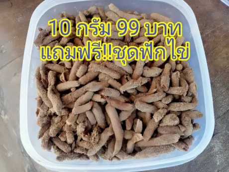 ?????????????????????????????5????????????????????????