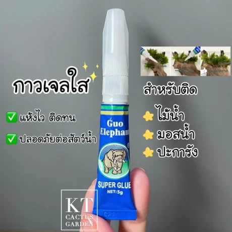 ????????????,??????,??????? (??????????) ???? 5 g. ??????????????????