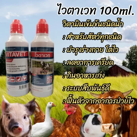 ไวตาเวท 100มล. วิตามินน้ำเข้มขันสำหรับสัตว์ วิตามินรวมชนิดน้ำแบบเข้มข้น สำหรับบำรุงให้สัตว์เลี้ยงเเข็งแรง โตไว ฟื้นตัวเร็ว
