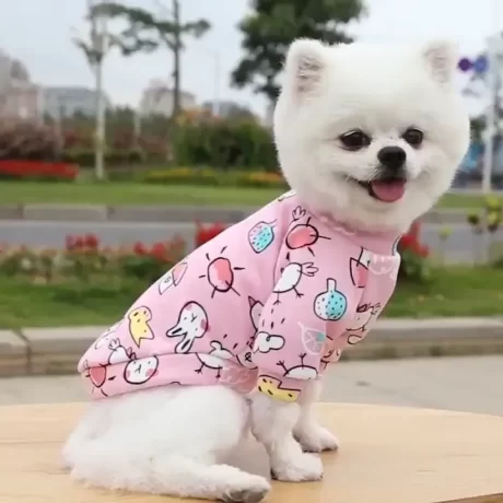 ???????????? ????????????????????? ??????????????????????