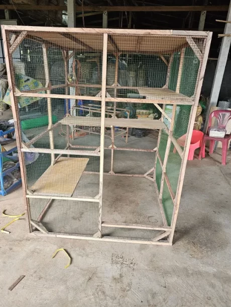 ?????????? 160*124*124