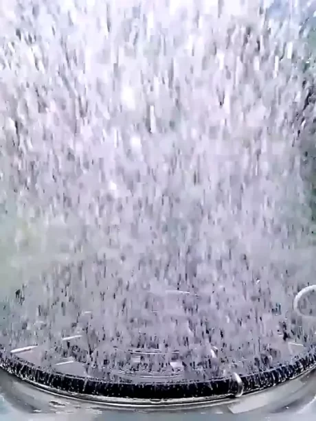 ???????????? OXYGEN RING ?????????????????????? ???????????