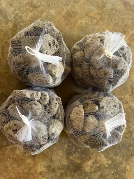 ?????????? 1????????