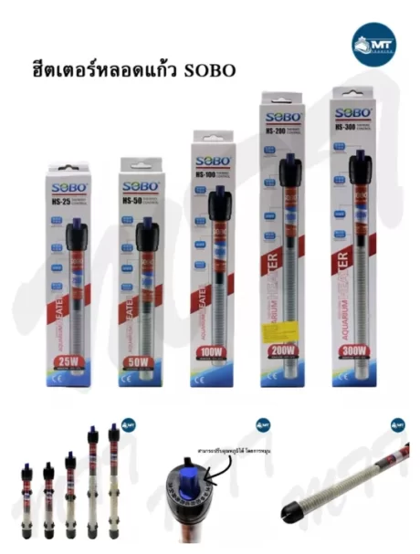 ???????????? SOBO (?????????????????? ?????????????????????? ??????? ??????????????? ???????????????)