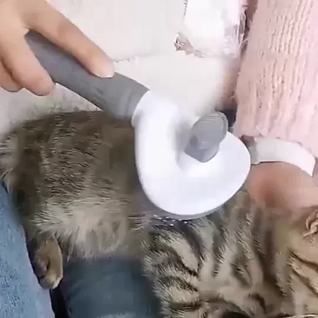 ????????????????, ??????????, ???????????????