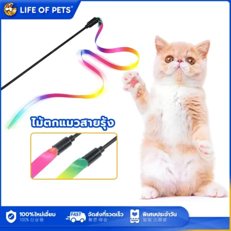 ????????? ?????? ???????? ?????????? ??????????????? ???????????? ???????????????????????????????????????????