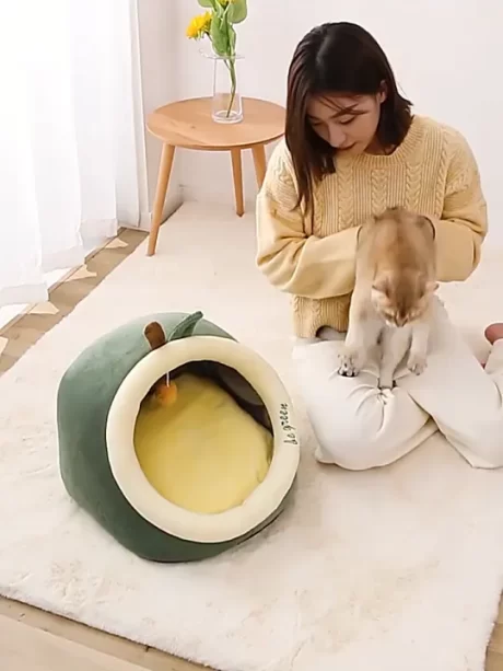 ????????????????? ?????? ????????? ????????? ??????????????? ?????????? ?? 3 size ???????? ???????????????????