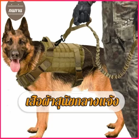 ????????????????????????????????????????????????????????????????????????????????????????????? Moiie