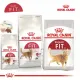 อาหารแมว Royal Canin Regular Fit 32 ขนาด 400g 2 K 4 Kโรยัลคานิน Royal Canin Fit อาหารสำหรับ แมว แมวโตอายุ 1 ปีขึ้นไป ขนมแมว