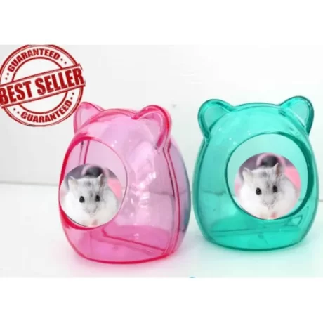 ???????????????????? ???? ????????????