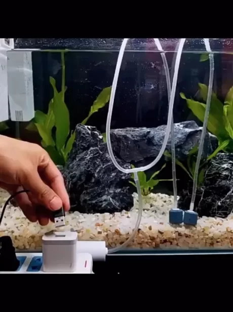 USB ????????????????????? ?????????????????????????????? ?????????????? ?????????????????????????? ???????????