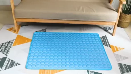 ????????????? ??? ?????????????????? ?????????????????? ????????????? ???????????????? ??????????? ????????? ????????? ?????????????? ?? 4 ????