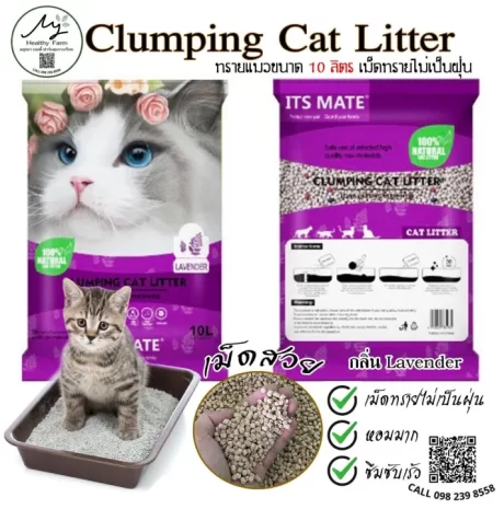 ???????????10????10L????????????????????(???????????????)