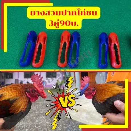 🔥?????????3???90??? 🔥?????????🔥 ???????? ????????? ??????????????????????🔥 ?????????????????? 🔥