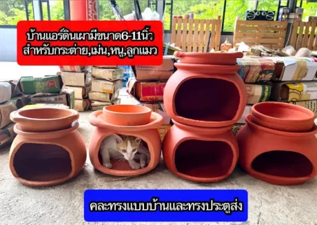 ????????????????? ????????????9-11???? ‼️???????????????????????????????????? ‼️?????????????????????????