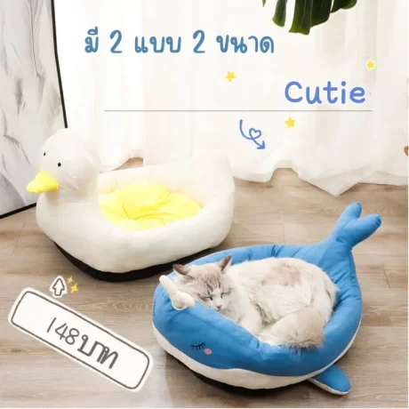 ?????????????????????????? ?????? ?????????