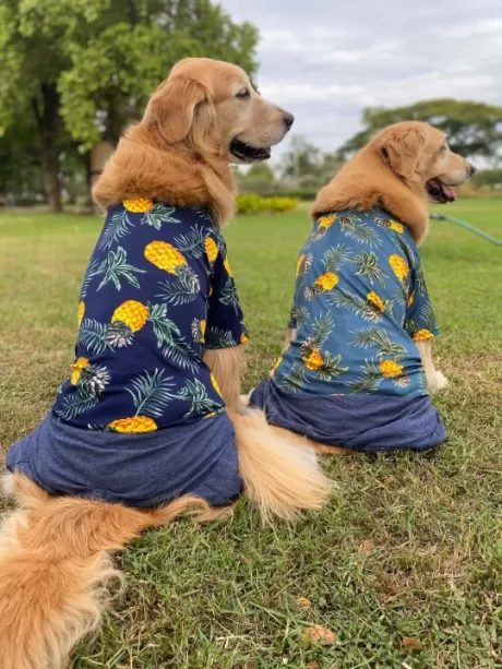 ?????????? ????????????? ????????????????????? ????????????????