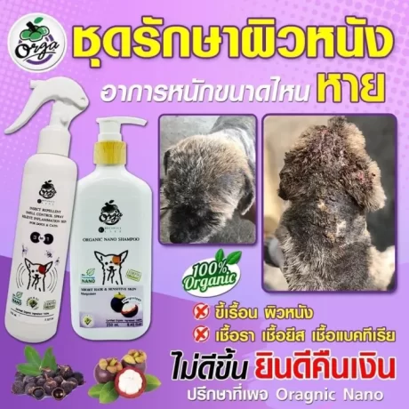 ???????????????? ?????????????