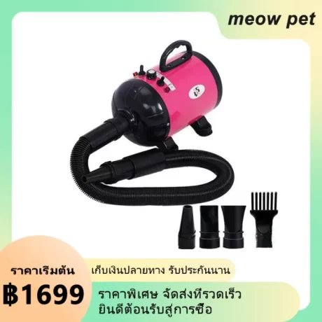 ?????????????????????????? ?????????????????? ????????????? ?????????? 2800w ?????????? ????? ??????????????????????????????????????? ???????????????????????????