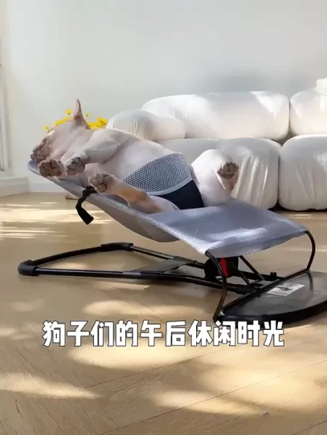 ????????????????????? ????????????????? ?????????? ??????????? ???????? ????????????????? ???????????? ??????2????