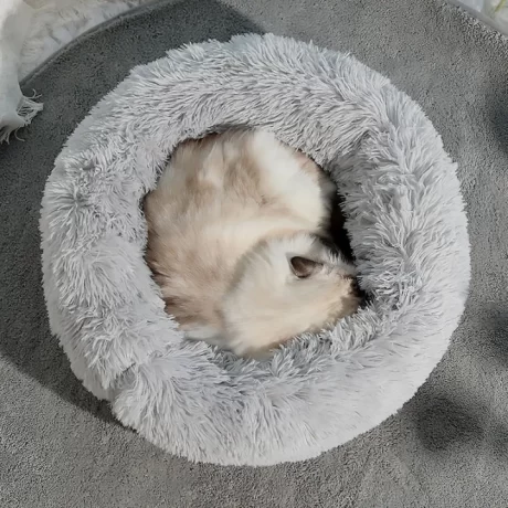Meow ood ????????????????? Pet Bed????????????????????????????????????????????????????????????????????????????????????