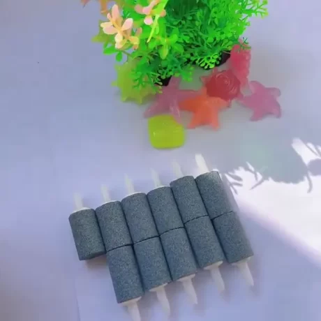 ??????? 20???? ??????? ??????? Air Stone ??????????? ????????????????????? ??????????