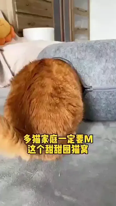 ???????????? ???????????? ????????????????????? ?????????? ????????????????????? ??????? ?????????2 ???? M,L 4 ??