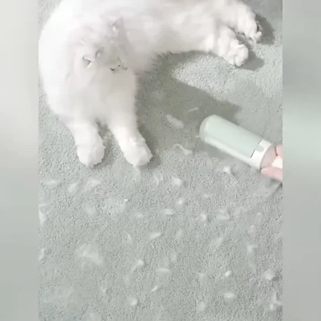 ????????????????????? ???????????????? ??????????????? ???????????????????? ????????????? ?????????????????????????