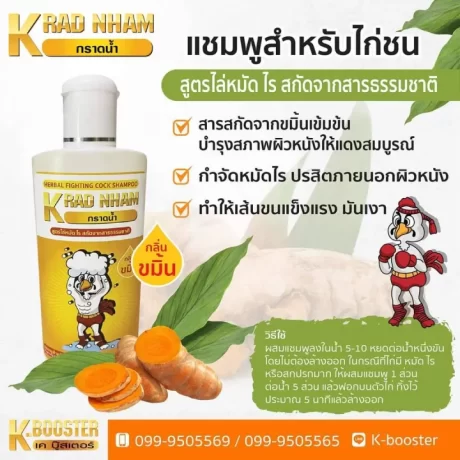 ???????????? ??????,?????,???,?????? ???????????KRAD NHAM ??????? ??????