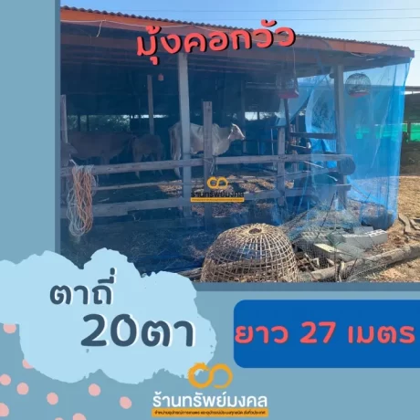 ????????????????????? ???20?? ????????? ?????????? ????????? ???2???? ???27????