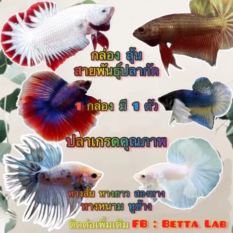 ?????????????????????? 20 ??? ??????????????????? ??????????????????? ??????? ??????? ?????? ?????? ??????