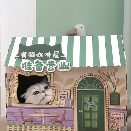 ???????? ???????? ??????????????? ????????????????? ?????????? ??????????? ???????????? ????????????? 3 ?????