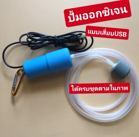 ?????????????USB ??????????????????