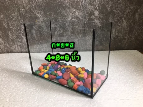 ?????? ?????? ?????? 8 ???? (10x20x15 cm.) ????? ?????????