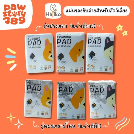 Hajiko ??????? ??????????????? ?????????????????????????