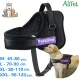 PetLove Dog Harness, Soft Leash Padded No Pull Dog Harness with All Kinds of Size (L)