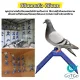 GotGo, bird's perch Anti-slip plastic, blue/green, Bird Rest Roost Holder