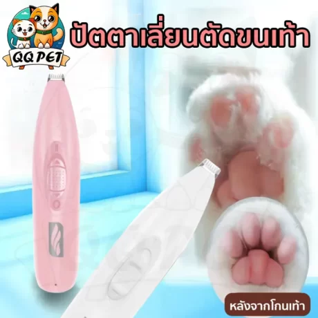 QQPET ??????????? ???????????? ??????????? ?????????????? ????????????????? ????????????? ?????????? ????????
