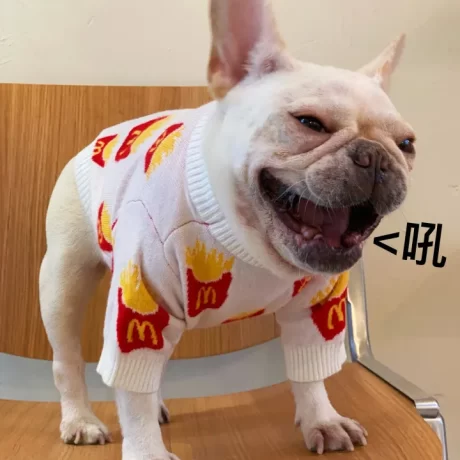 AuntieCindy Fashionable Dog Sweater M Fast Food Logo French Fries Cat Knitted Coat Shihtzu Clothes to Keep Warm