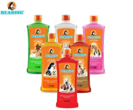 ????? Bearing ???? 600 ??. ??????????????????