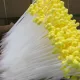 Discount artificial insemination spur for pigs Pig artificial insemination foam spur Artificial pork fruit equipment, set of 10 pieces, individually packed, clean, increases pregnancy rates.