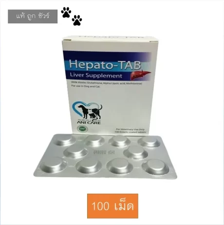 Hepato TAB 100 เม็ด (1 กล่อง) วิตามินบำรุงตับ สุนัข แมว Hepato-TAB อาหารเสริมสุนัข อาหารเสริมแมว