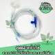 Bezel set DIY for ทำที ่ dryer eggs Artemia (cable + release valve water well blue or black) artemia brine shrimp Artemia incubator betta food Ball