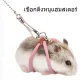 สายจูงไนล่อน ปรับได้ หลากสี สําหรับหนูแฮมสเตอร์ กระรอก ชินชิล่า