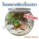 【Bessant】ตู้ปลา โหลปลาทอง โหลปลาหางนกยูง โหลปลากัด โหลพลาสติก ทรงกลม แข็งแรง ตกไม่แตก