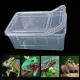 Plastic Insect Frogs Reptile Breeding For Lizard Spider Gecko Pet Products Cage Insect Reptile Terrarium Living House Feeding Box