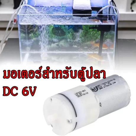 ??????????????????? ????????????? DC 3?????-6????? ???????????? ????????????