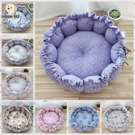 BENEDICT ???????? ?????????????? ????????? ????????????? ???????????? ????????????????????????????? ??????? ?????????????????? ?????????